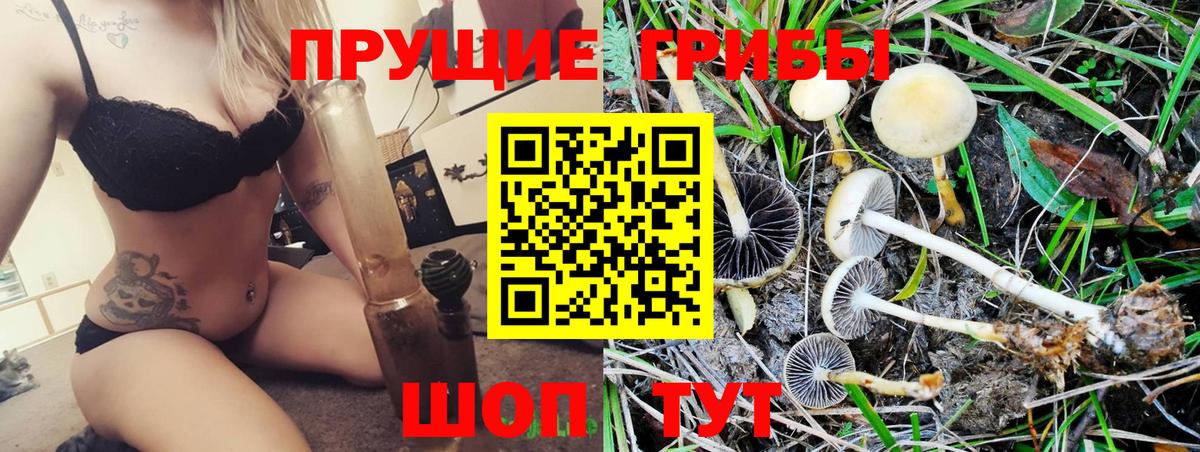 Галлюциногенные грибы Psilocybine cubensis  цена   Тобольск  Галлюциногенные грибы GOLDEN TEACHER  Вход с VPN 